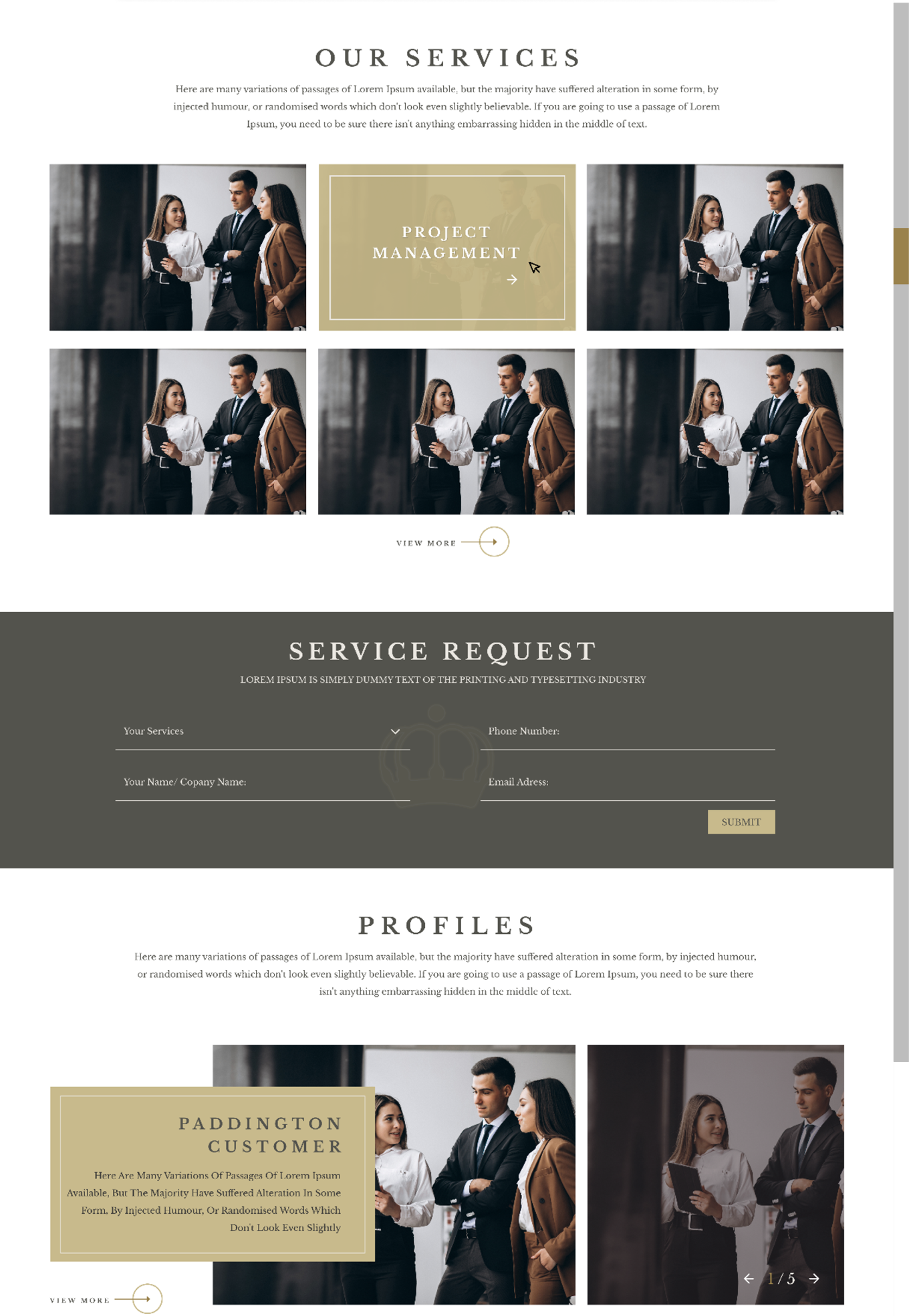 Project Paddington homepage design